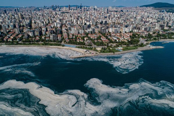 Море в районе Стамбула покрылось густой слизью, а уровень кислорода в воде серьезно снизился. - Sputnik Молдова