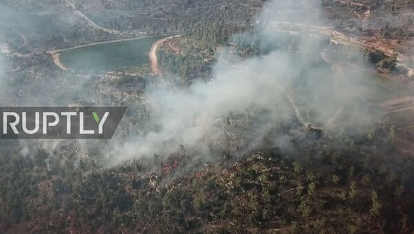 Israel: Authorities battle forest fires with retardant dropping planes near Jerusalem - Sputnik Moldova-România