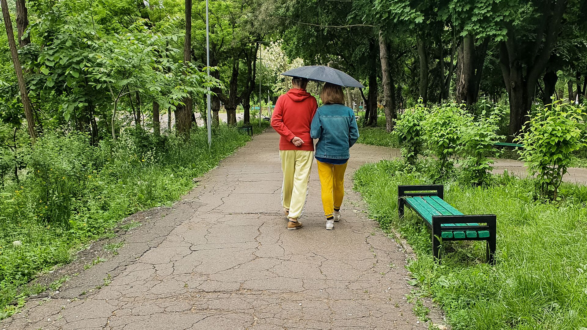 Пара гуляет в парке под дождем - Sputnik Молдова, 1920, 26.08.2021