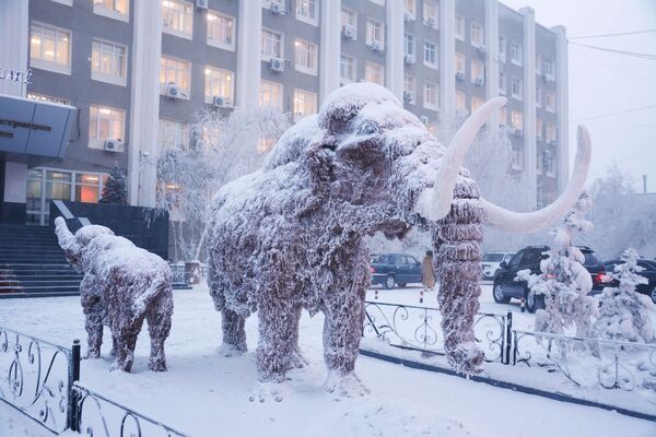 Скульптура мамонта возле здания окружной администрации города Якутска. Температура опустилась до отметки минус 47 градусов по Цельсию. - Sputnik Молдова