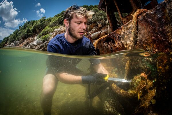 Волонтер собирает остатки рыбной фермы недалеко от острова Итака, Греция. - Sputnik Молдова