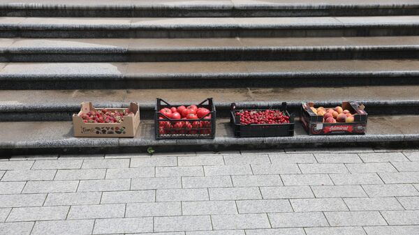 Овощи и фрукты на ступеньках здания правительства Молдовы - Sputnik Молдова