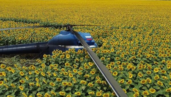Жесткая посадка вертолета Ми-2 в Прохладненском районе Кабардино-Балкарской Республики - Sputnik Молдова