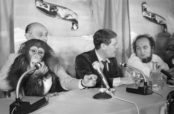 Марчелло Мастроянни и режиссер Марко Феррери во время пресс-конференции на 31-м Каннском кинофестивале, 1978-й год. - Sputnik Молдова