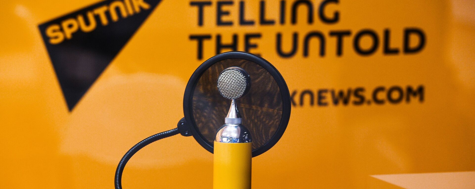 Микрофон с символикой радио Sputnik в студии - Sputnik Молдова, 1920, 13.03.2022