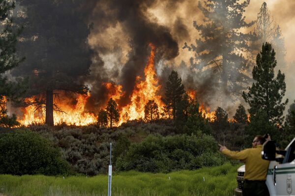Lupta cu incendiul de vegetație în pădurea națională California Plumas, SUA - Sputnik Moldova