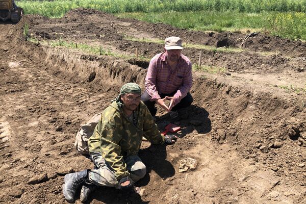 Раскопки кургана. Нашли останки древнего человека - Sputnik Молдова