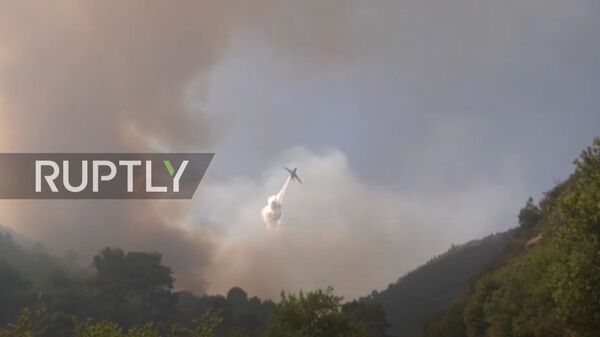 Greece: Aircraft help fight wildfires on Samos as smoke billows over island - Sputnik Moldova-România