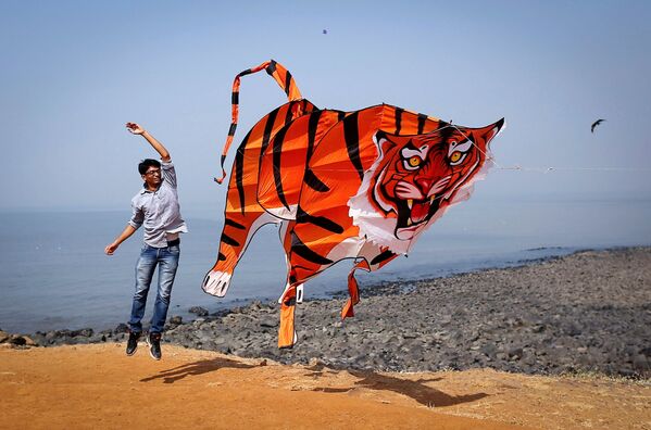 Lansarea unui zmeu în formă de tigru în timpul festivalului internațional de zmeu din Mumbai. - Sputnik Moldova