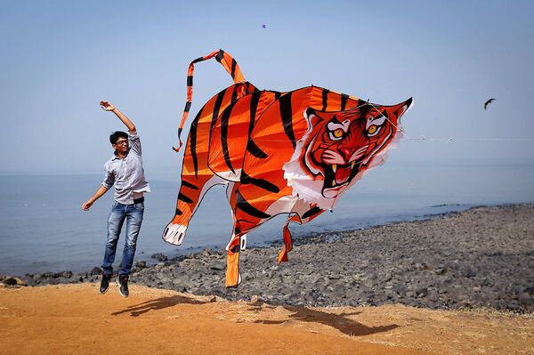 Участник запускает воздушного змея в форме тигра во время Международного фестиваля воздушных змеев в Мумбаи. - Sputnik Молдова