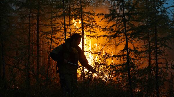 Тушение лесного пожара в Якутии - Sputnik Moldova-România