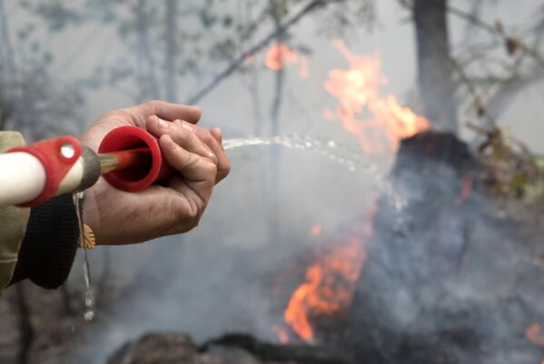 Pompierii sting o pădure în flăcări din Karelia. - Sputnik Moldova-România