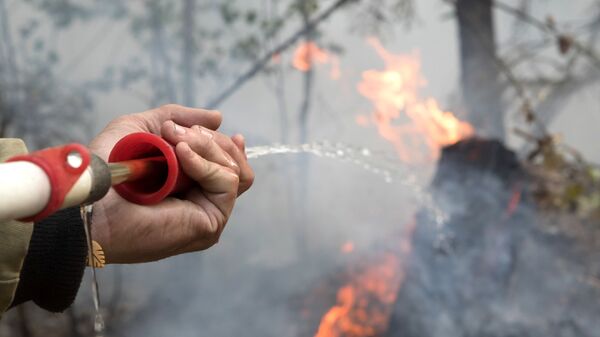 Сотрудник лесоохраны во время работ по ликвидации лесных пожаров рядом с Сямозером в Пряжинском районе Карелии - Sputnik Молдова