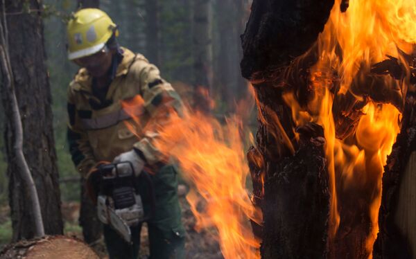 Angajații unei companii avia de protecție a pădurii efectuează lucrări care să împiedice răspândirea flăcărilor în Iakutia. - Sputnik Moldova-România