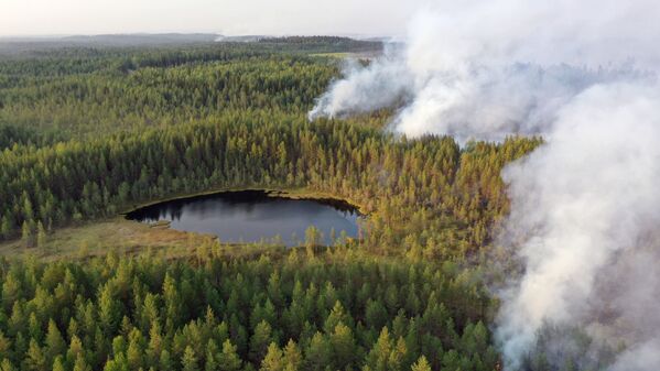 Incendii de vegetație în Karelia, Rusia, văzute de la înălțime. - Sputnik Moldova-România