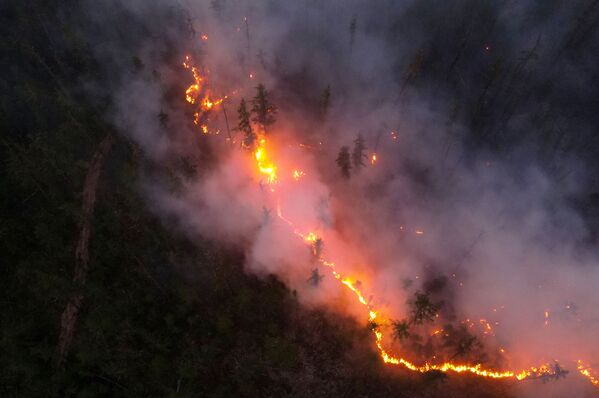 Păduri în flăcări în Iakutia - imagine nocturnă. - Sputnik Moldova-România