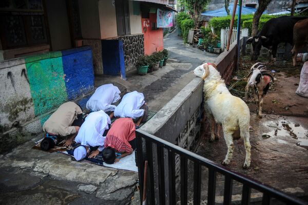 Индонезийские мусульмане совершают молитву в честь праздника Курбан-байрама в Бандунге, провинция Западная Ява, Индонезия. - Sputnik Молдова