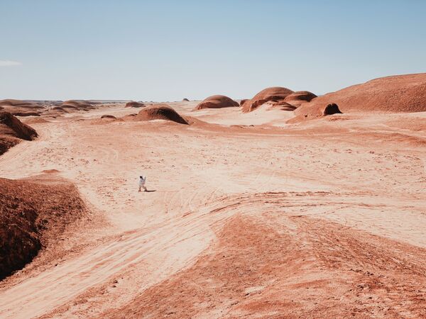 Снимок A Walk on Mars фотографа из Китая Dan Liu, занявший 1-е место в номинации Photographer of the Year конкурса IPPAWARDS 2021 - Sputnik Молдова