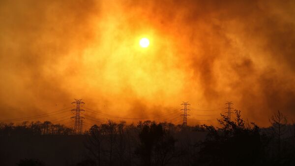 Дым над лесом вокруг Манавгата - Sputnik Молдова
