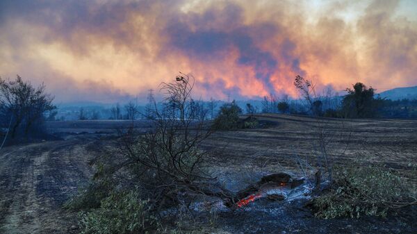 Лесной пожар в Турции - Sputnik Молдова