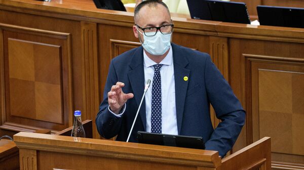 Серджиу Литвиненко в парламенте - Sputnik Молдова