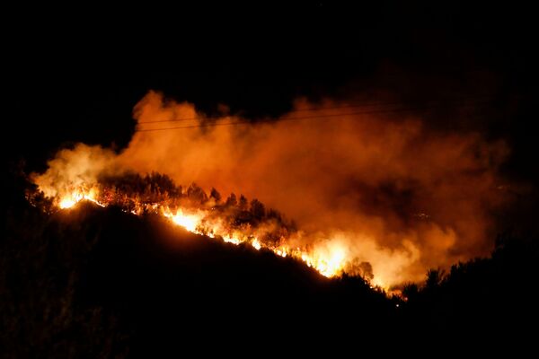 Пламя лесного пожара разгорается возле деревни Зирия, недалеко от Патр, Греция, 31 июля 2021 года.  - Sputnik Молдова
