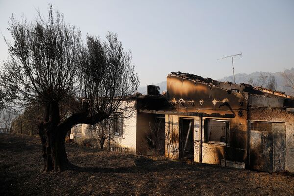 Сгоревший дом на фоне продолжающегося лесного пожара недалеко от деревни Зирия в окрестностях Патр, Греция, 1 августа 2021 года. - Sputnik Молдова