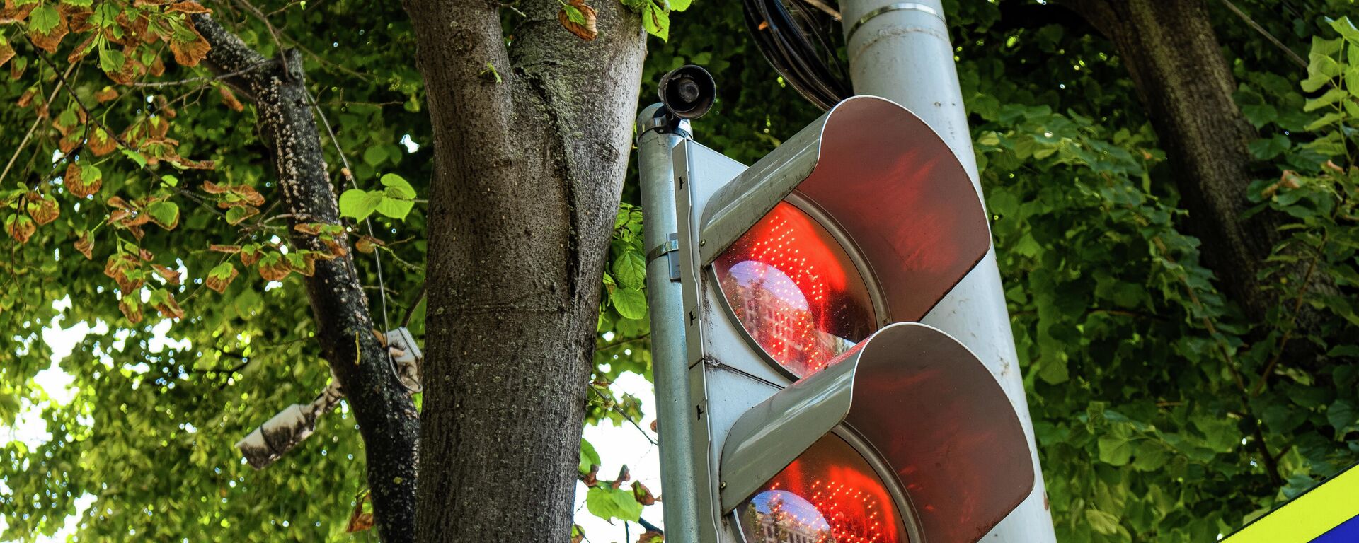 Опрос: Молдова продолжает двигаться в неверном направлении - шаг за шагом - Sputnik Молдова, 1920, 21.08.2025