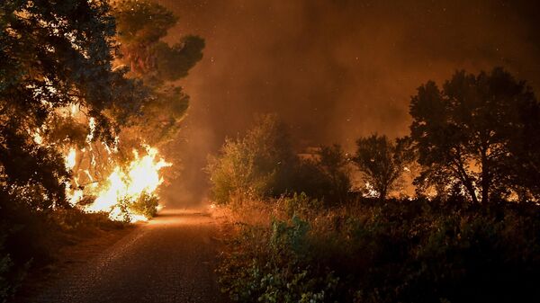 Incendii în Grecia - Sputnik Moldova-România