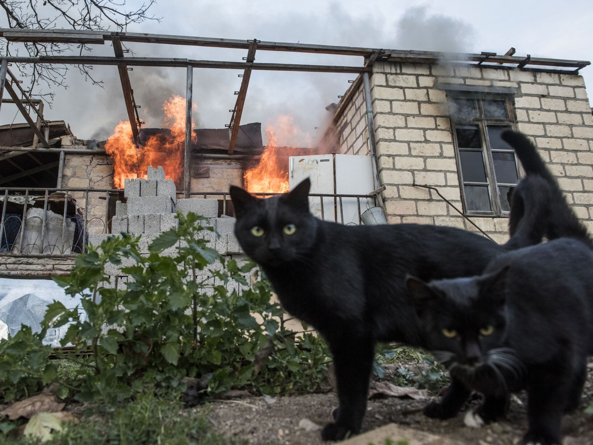 Кошка на горящем доме. Суеверие про пятницу 13 в России. Взрыв за окном. Кошка сгорела