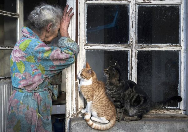 Пожилая женщина возле своего дома в городе Лачин (Бердзор) в Нагорном Карабахе и ее питомцы.  - Sputnik Молдова