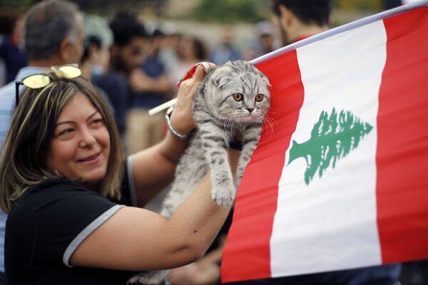 Кот-демонстрант и его хозяйка машут государственным флагом  на акции протеста в Бейруте, Ливан. - Sputnik Молдова