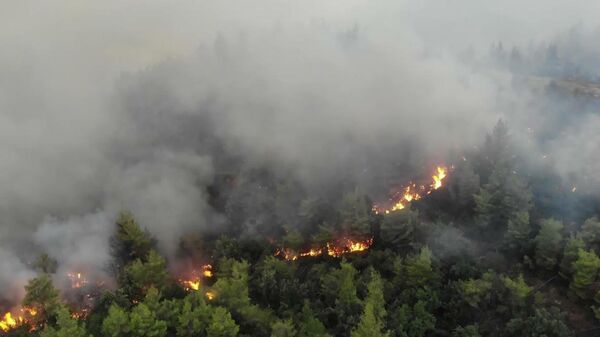 Greece: Drone captures devastating scenes as wildfires continue sweeping through Evia
 - Sputnik Moldova-România