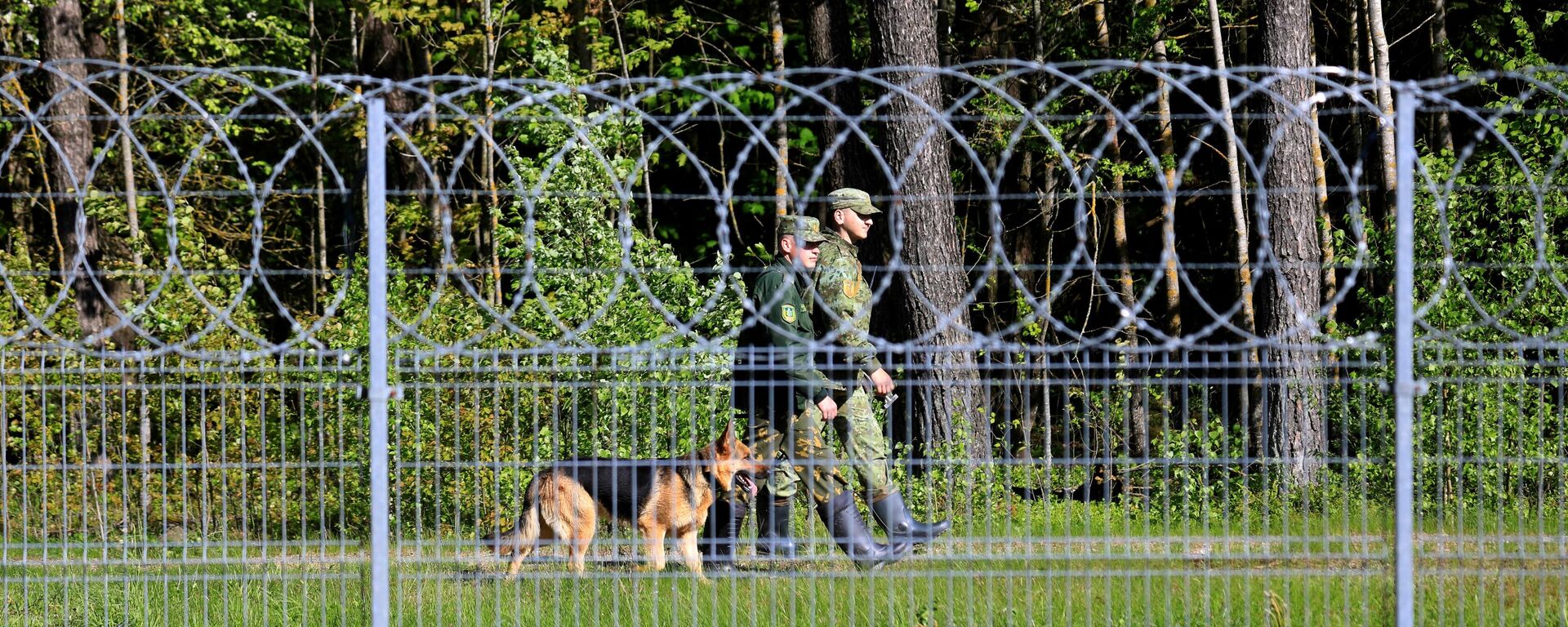 Белорусские пограничники патрулируют за забором границы во время акции протеста организации Репортеры без границ - Sputnik Moldova-România, 1920, 30.08.2021