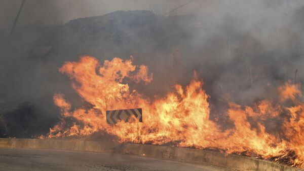 Пожар на дороге в муниципалитете Блуфи, Сицилия - Sputnik Молдова