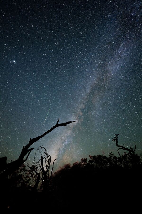 Calea Lactee și meteorul Perseide deasupra Mauna Kea. - Sputnik Moldova