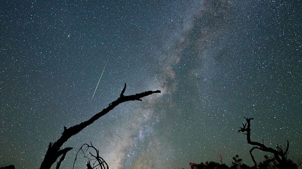 Calea Lactee și meteorul Perseide deasupra Mauna Kea - Sputnik Moldova