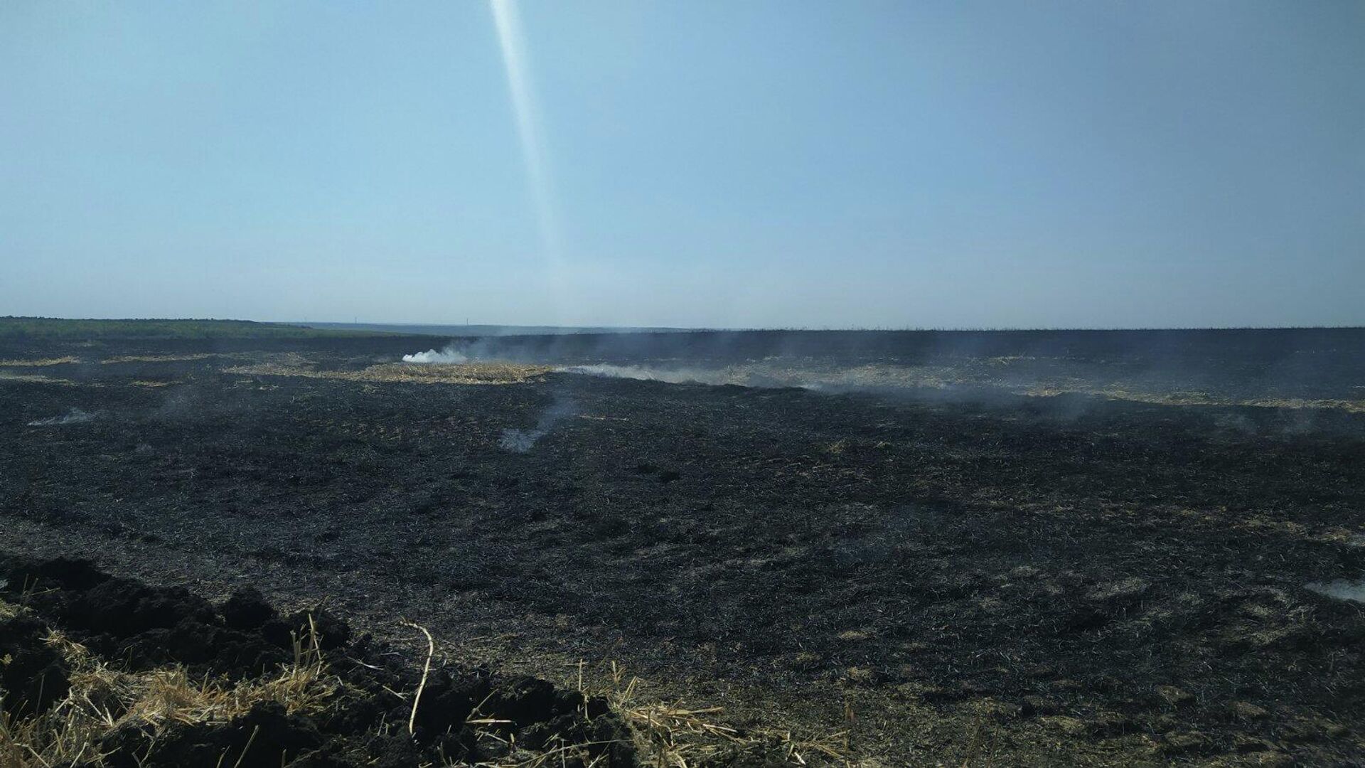 Пожар, дым и ДТП – к чему привело сжигание стерни на полях Гагаузии - Sputnik Молдова, 1920, 17.08.2021