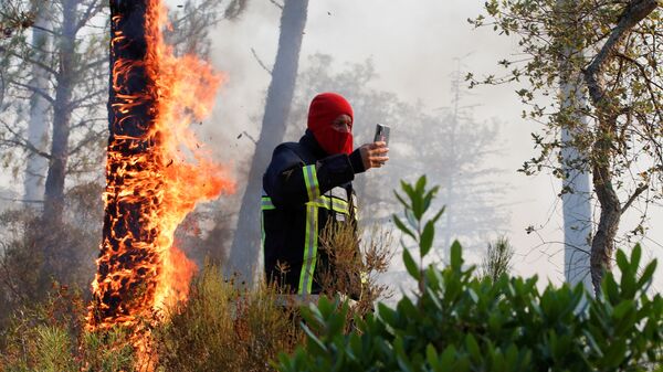 Пожарный фотографируется напротив горящего дерева во французском департаменте Вар  - Sputnik Молдова