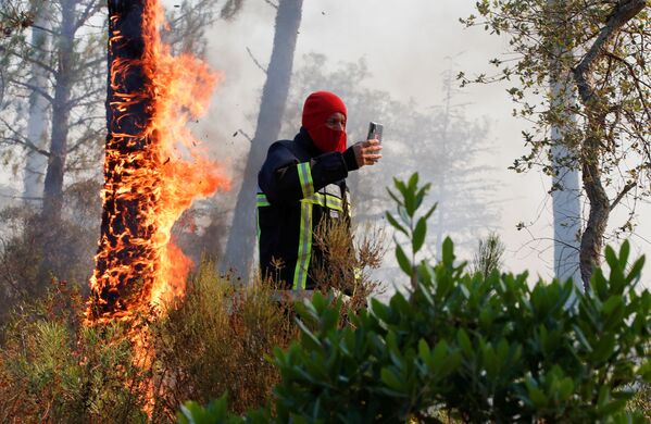 Пожарный фотографируется напротив горящего дерева во французском департаменте Вар. - Sputnik Молдова