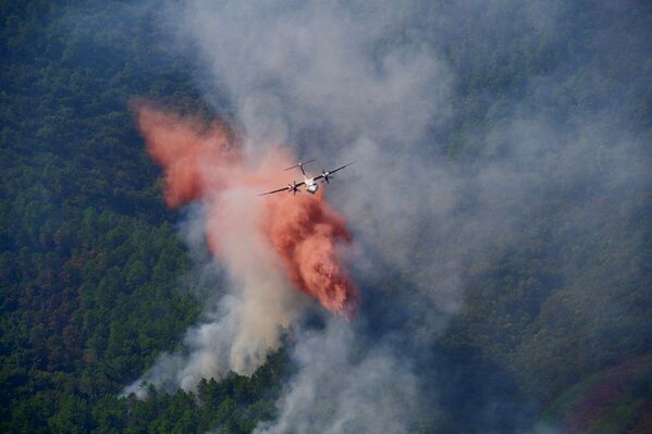 Самолет тушит лесные пожары во французском департаменте Вар. - Sputnik Молдова