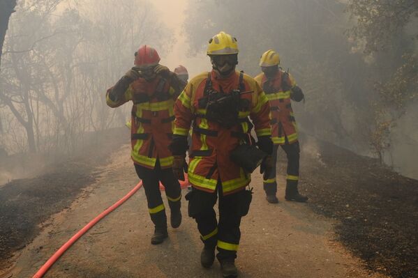 Пожарные тушат лесной пожар в регионе Вар, на юге Франции. - Sputnik Молдова
