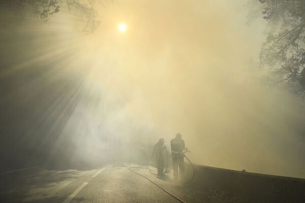 Пожарные тушат пламя лесного пожара возле Гонфарона, на юго-востоке Франции. - Sputnik Молдова