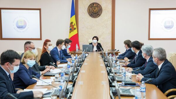 Ședința Guvernului  - Sputnik Moldova