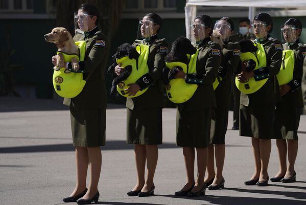 Полицейские представляют щенков для дрессировки во время церемонии в Национальной полицейской академии в Ла-Пасе, Боливия. - Sputnik Молдова