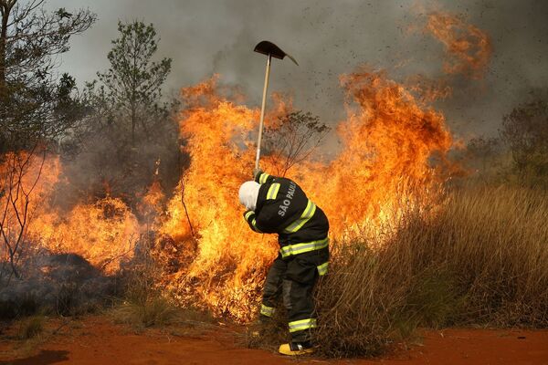 Пожар уничтожил половину национального парка в бразильском Сан-Паулу. Сгорело более тысячи гектаров саванны. - Sputnik Молдова