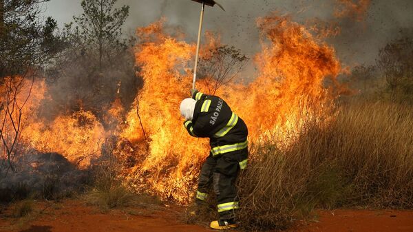 Пожарный борется с огнем в бразильском национальном парке в Франку-да-Роша, где потерпел крушение воздушный шар - Sputnik Молдова