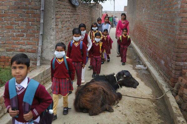 Elevi pe o stradă din Kannauj, India, în plină pandemie de coronavirus. - Sputnik Moldova