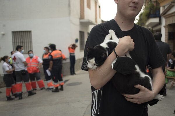 Un băiat duce o pisică în timp ce personalul de urgență se adună în satul Algatocin din provincia Malaga, pentru a lupta cu un incendiu izbucnit în urmă cu trei zile în zonă este încă în luptă pe 12 septembrie 2021 - Sputnik Moldova-România