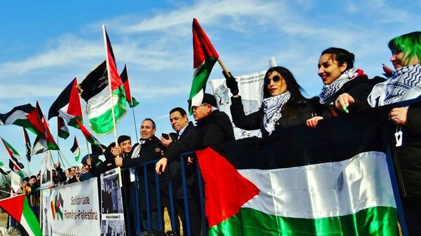 Protest în susținerea Palestinei - Sputnik Moldova-România